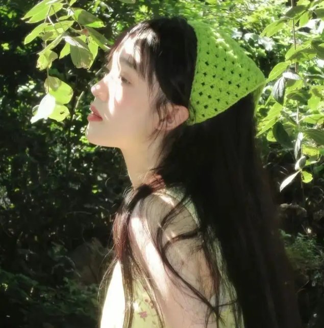 再生缘国语