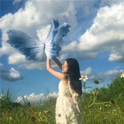 动物宝宝